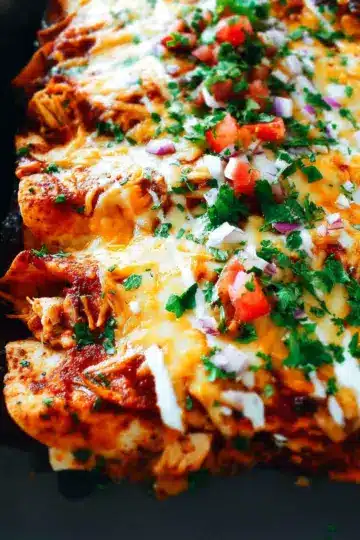 Chicken Enchiladas