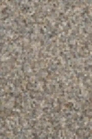 Best Grilled Salmon Fillet